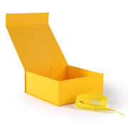 Cosmetic Folding Box