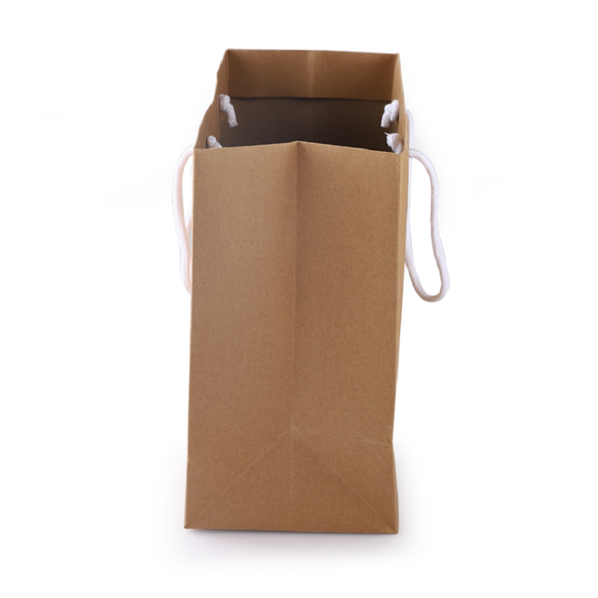 Kraft Paper Bag